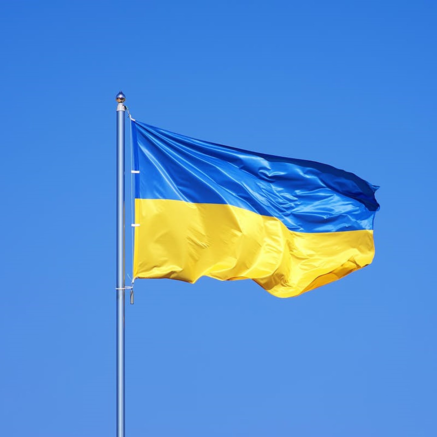Ukrainsk flag
